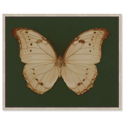 "Mossy Spechantillon III", reproduction d'art sur toile encadrée par Art Remedy, cadre en chêne naturel, 36 x 30