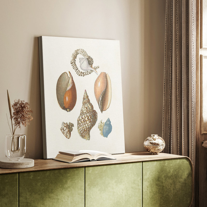 Knorr Shells & Coral I - galerie sur mesure Cavas, H 48 po x l 32 po