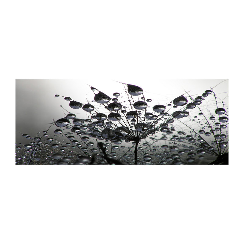 Dandelion Seeds - No Frame Print on Canvas