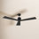 Mirage Ceiling Fan