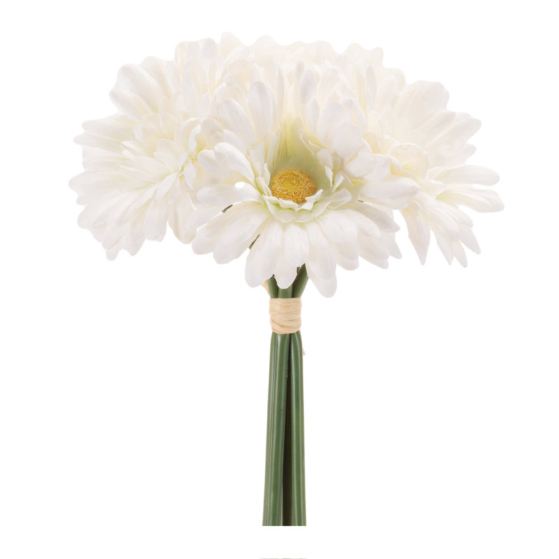 Paquet de fleurs Gerbera Daisy
