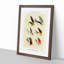Bass Fishing Flies Versions 5 by Mary Orvis Marbury - Picture Frame Painting Print-55683391-55683390