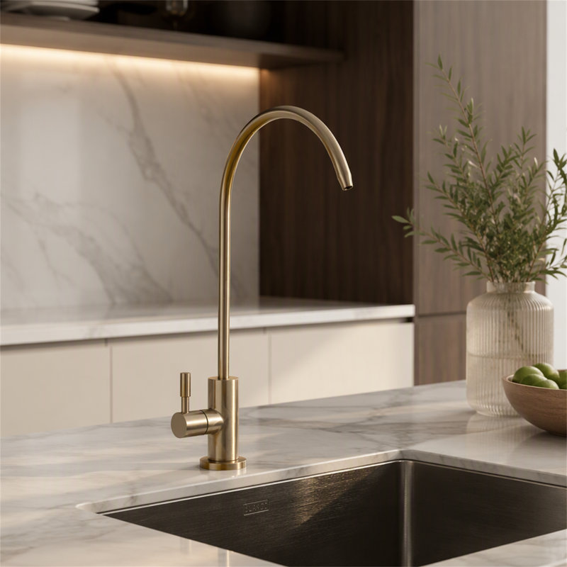 ROBOHIGH Kitchen Faucet Side Spray