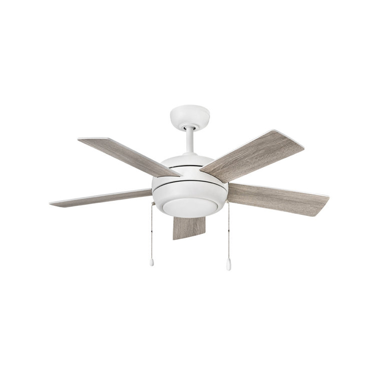 Perceus 42'' Ceiling Fan with LED Lights