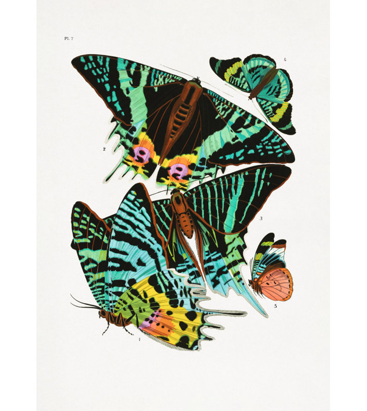 Wrapped Canvas Print, 121.92 cm H x 81.28 cm W