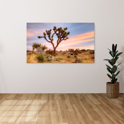 "Joshua Tree Sunrise" par Danita Delimont, reproduction sur toile