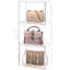 Organisateur de rangement de sac à main pour placard, 3 paquets de sac à main en plastique transparent en acrylique, sac à chaussures, figurine, bacs de rangement pour cosmétiques, organisateur de rangement magnétique