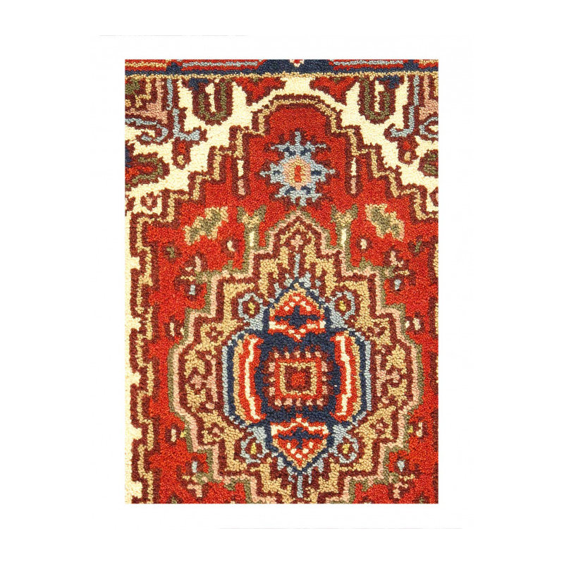 Serapi One-of-a-Kind 5'5" x 8'9" Area Rug in Rust