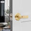 2Pcs Heavy Duty Door Levers with Keys-100673631