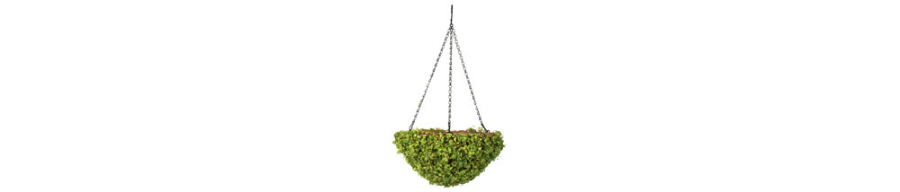 Hanging Planter