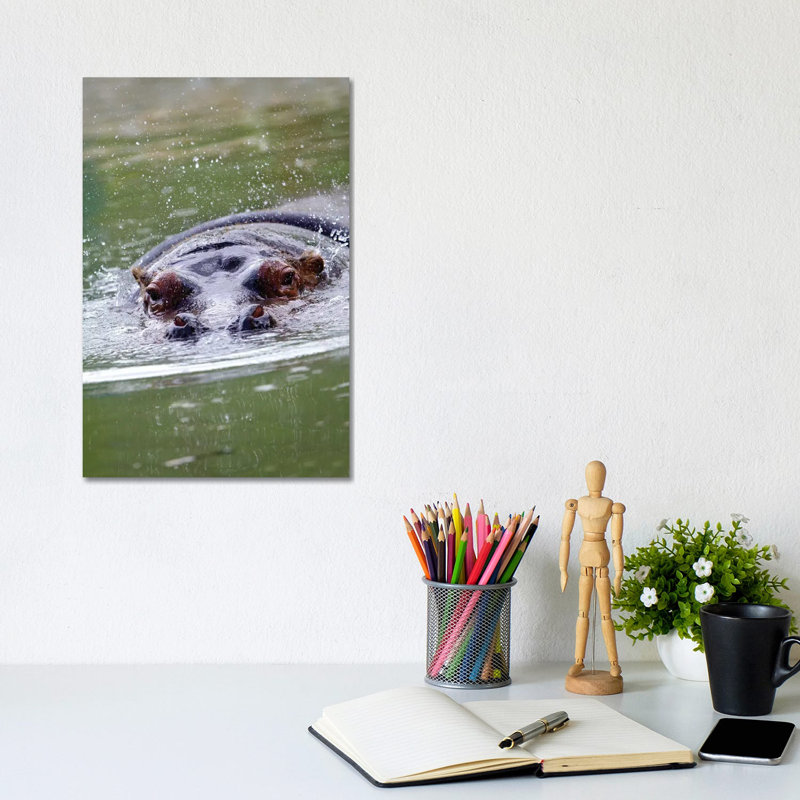 Hippo II by Goran Anastasovski - Wrapped Canvas Print, 20.32 cm H x 30.48 cm W