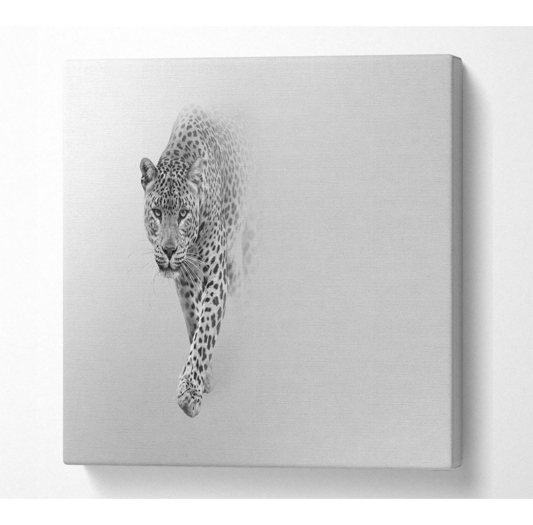 Leopard In The Mist - Kunstdrucke auf Leinwand