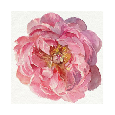 Blossomed Peony II by Jennifer Paxton Parker - Wrapped Canvas Painting
