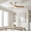 Ventilateur intelligent DEL Hinkley Fan Swell