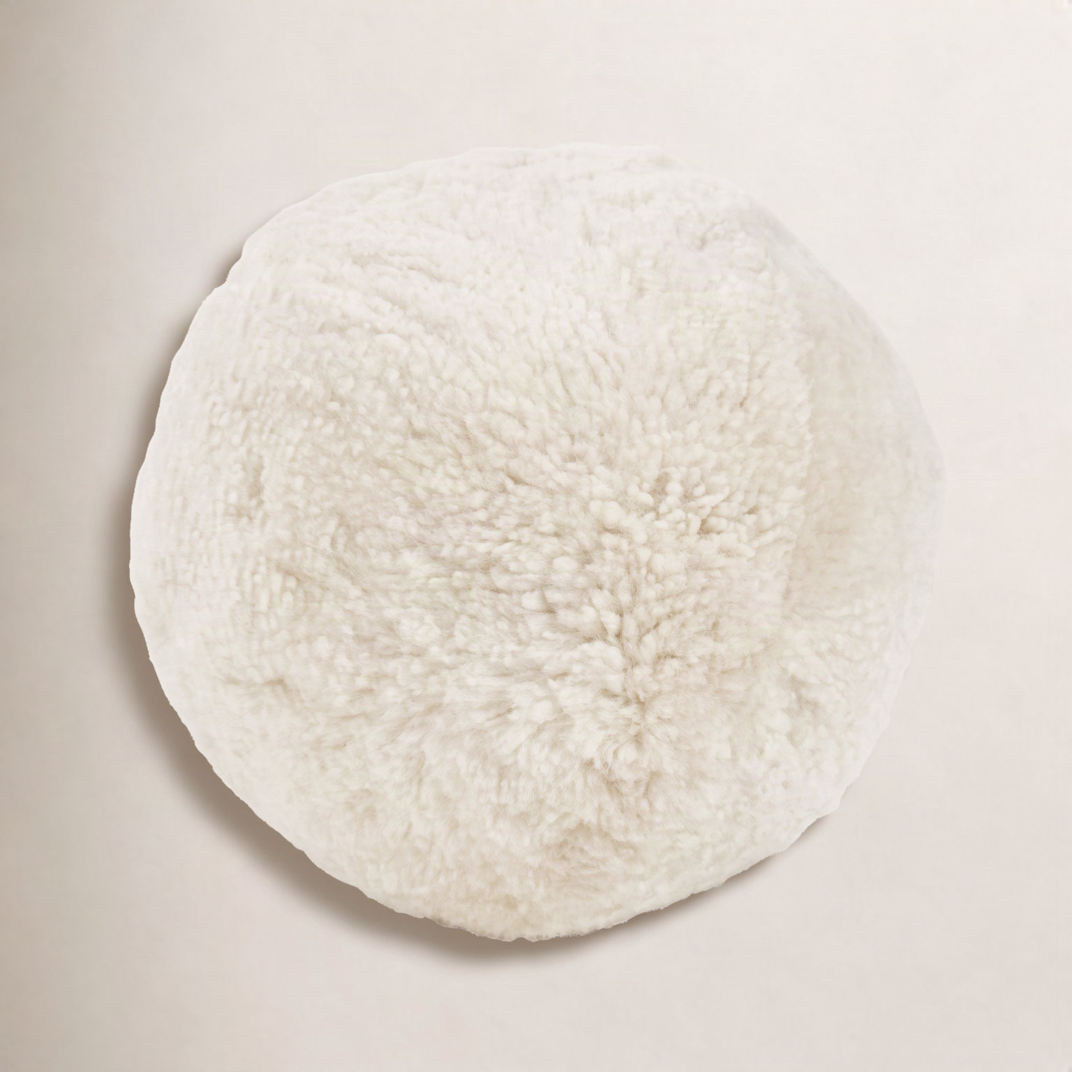 Mojito 12" x 12" Wool Throw Pillow, Beige