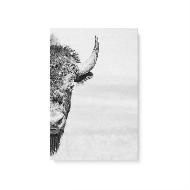 Wild Stare Stretched Canvas Print, 18" H x 12" W x 1.25" D, Wrapped Canvas