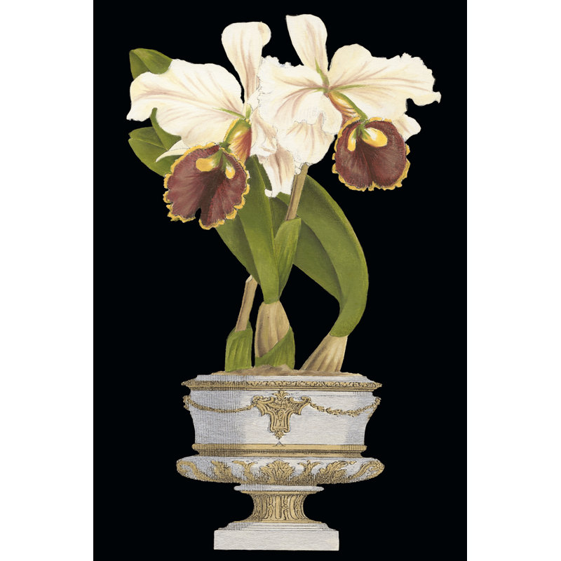 Orchids In Silver I by Vision Studio - Wrapped Canvas Art Prints, 46cm H x 30cm W x 3.8cm D