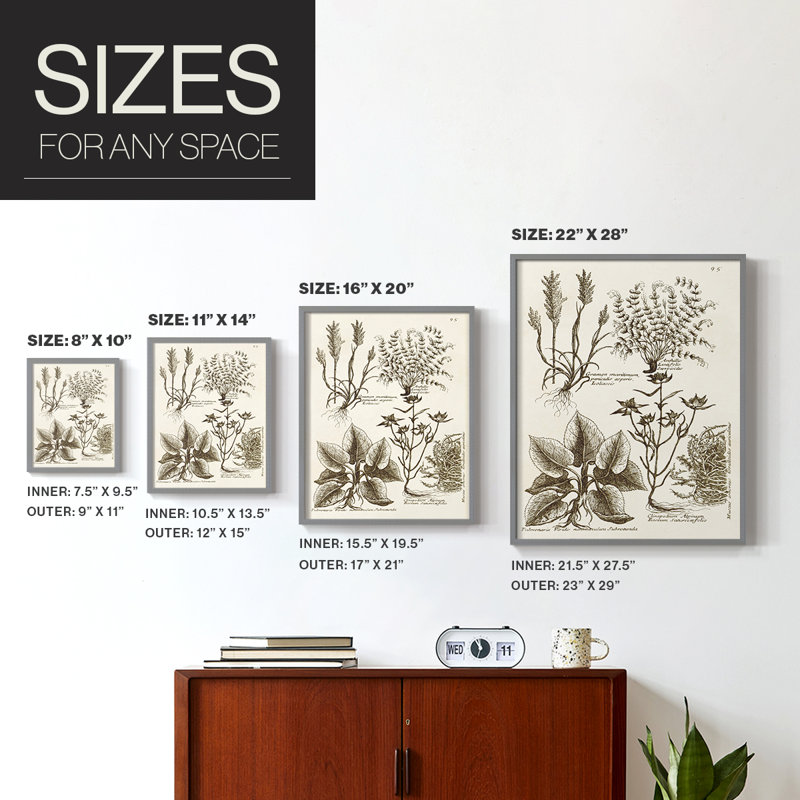 «Sepia Botanical Journal VII», reproduction encadrée - bois massif, Gris, H 10 po x l 8 po