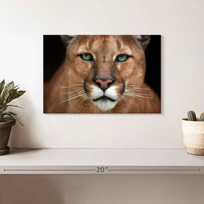 Crowle Staring Puma, 8" H x 12" W