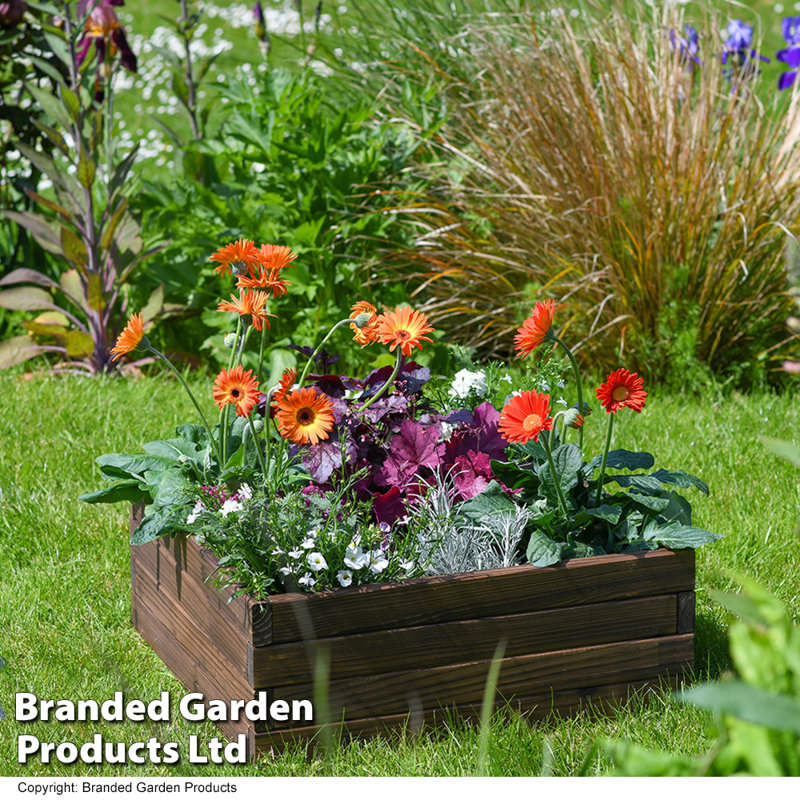 Maisie Wood Raised Flower Bed 110x90cm (x2), 66Cm H x 27Cm W x 24Cm D