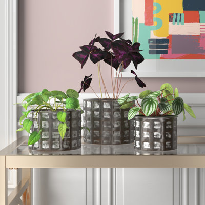 Ensemble de pots à fleurs en fer 3 pièces Fahari