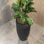 Pot à fleurs Roshini-2118699207-2118699204