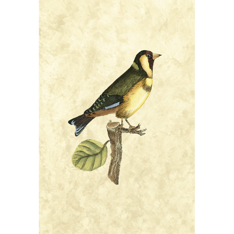 Selby Birds I - Wrapped Canvas Painting, 122cm H x 81cm W