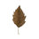 " Fall Leaf Study III " Mixed Media Painting