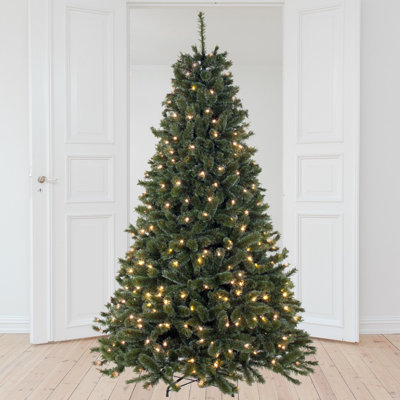 Lighted Pine Christmas Tree