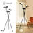Jissel 63" Modern Black Dimmable LED Tripod Floor Lamp