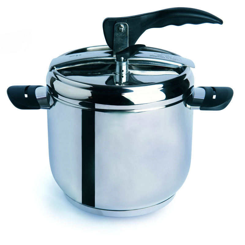 Excelsa Professional Stainless Steel Pressure Cooker, 28 cm H x 22 cm W x 22 cm D
