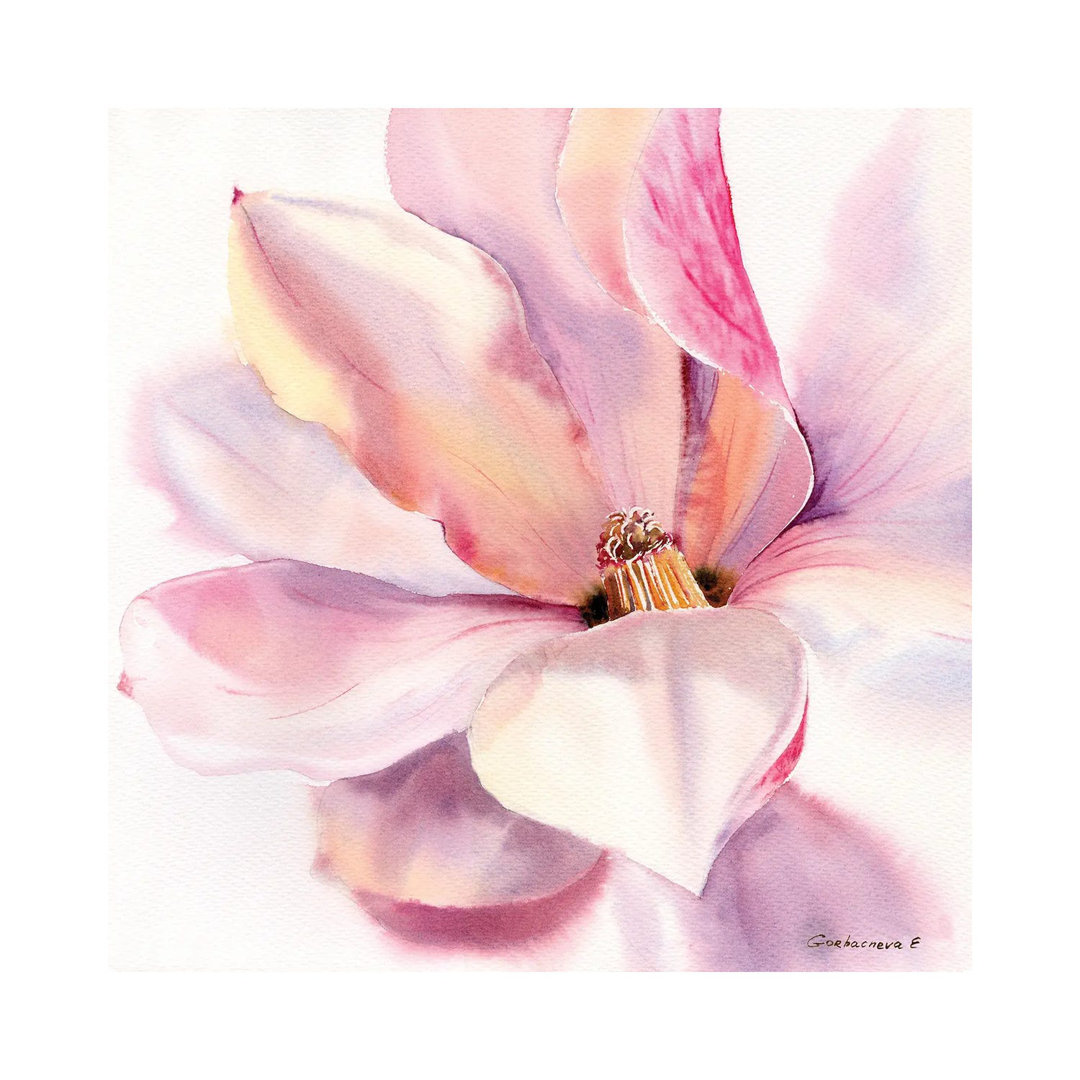 Magnolienblüte von HomelikeArt - Galerie-verpackte Leinwand Giclée auf Leinwand ohne Rahmen