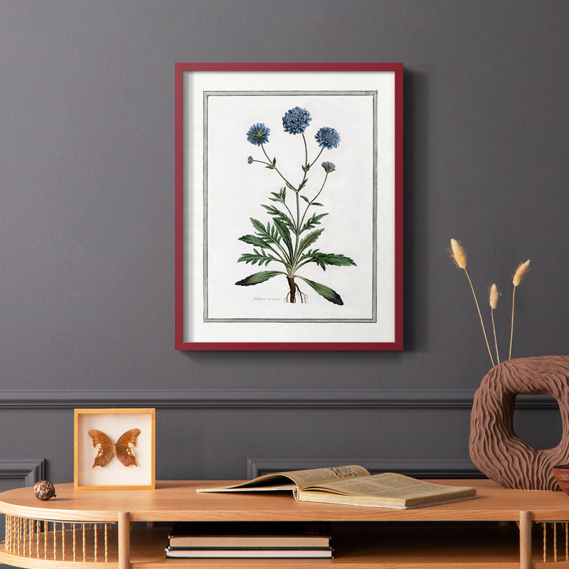 «Soft Botanical II», reproduction encadrée - bois massif, Rouge, H 10 po x l 8 po