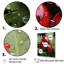 Tiny Ladybug Garden Guardians sur impression sur toile-496514316-496514307