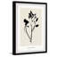 «Jardin Collection», reproduction encadrée-1188782348