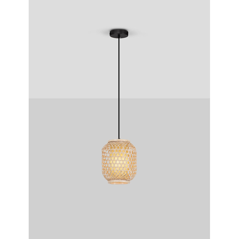 - Light Pendant