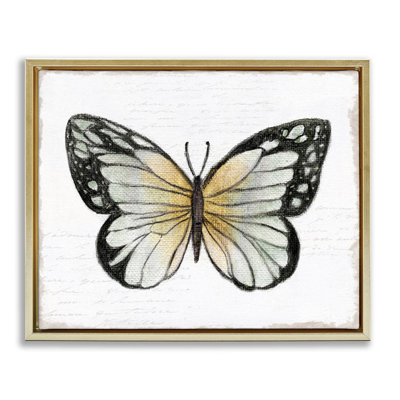«Monarch Butterfly Visage», art mural encadré flottant par Janet Tava, Cadre flottant métallique doré, H 17 po x l 21 po