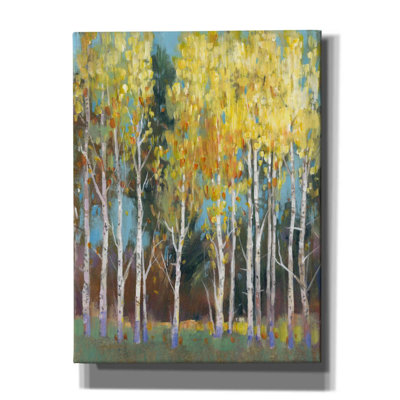 «Aspen Grove II» par Tim O'toole, art mural sur toile