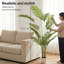 180cm Plant