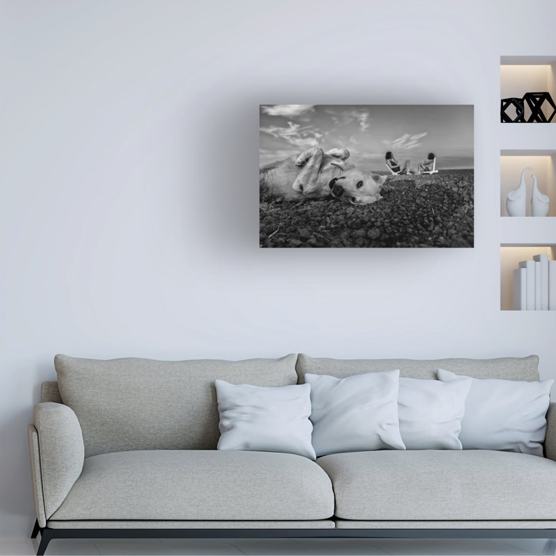Art sur toile Avi Morag, H 12 po x l 19 po