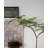 High Imitation Green Plant Jacaranda Tree