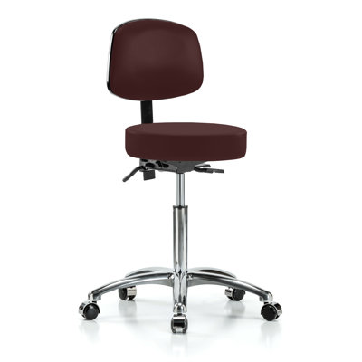 Backed Adjustable Backrest Adjustable Height Lab Stool with Removable Casters/Wheels