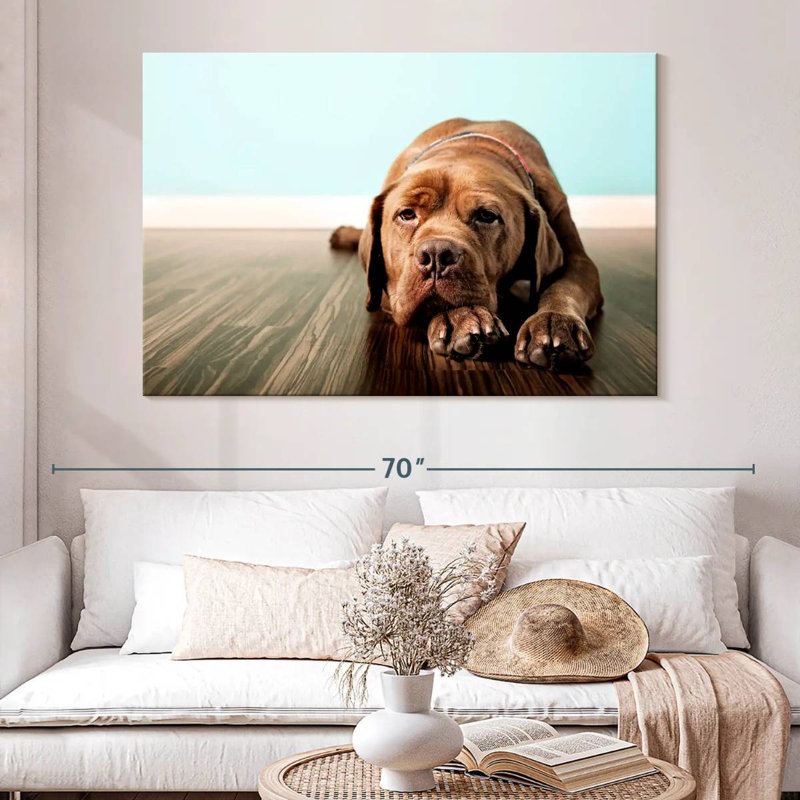 Dogue français Brampt s'ennuie, H 34 po x l 51 po