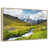 Floating Frame Natural Wood