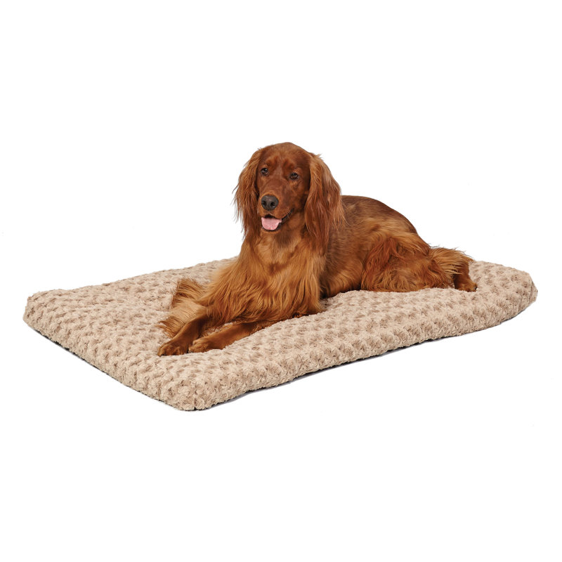Lits pour chien MidWest Homes For Pet - MOCHA, Grand (l 40 po x P 27 po x H 3 po)