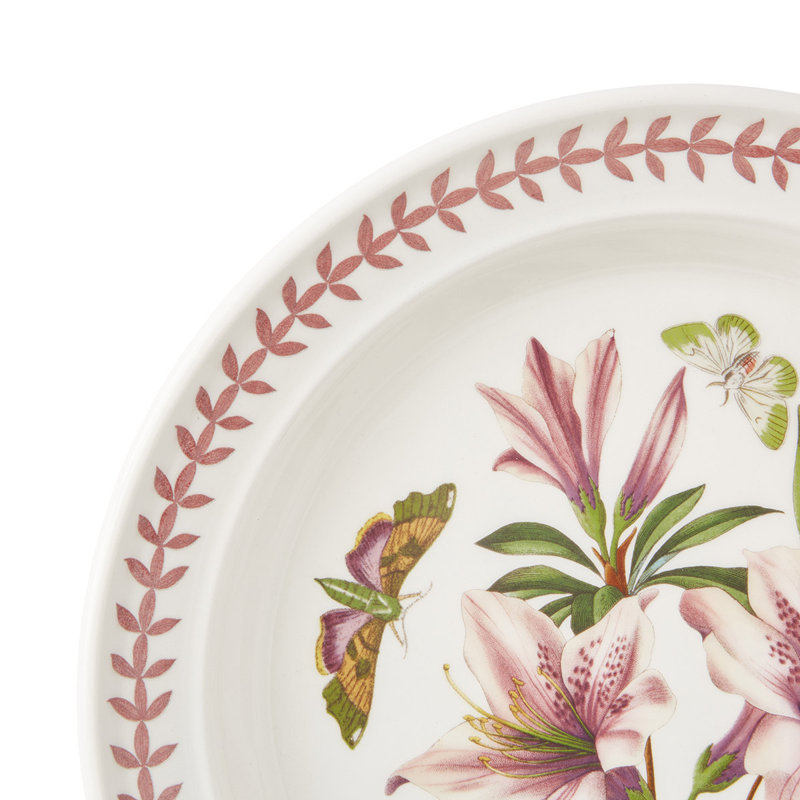 10" Dinner Plates, Set of 6