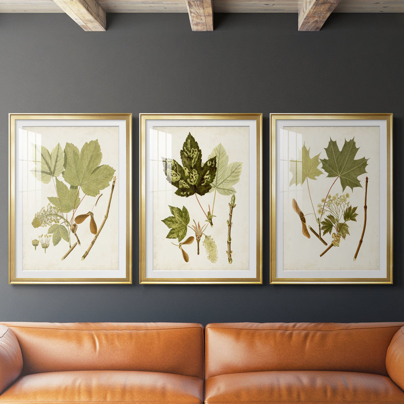 Feuilles antiques IV - impression encadrée sur mesure de qualité supérieure mate - 3 pièces, H 19 po x l 27 po