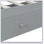Canopy Day Bed With Trundle-931306670