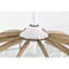 Ventilateur de plafond 27 pouces Shana
