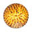 Mikara Shell Flush Mount